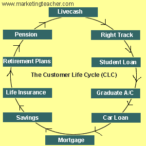 The Customer Life Cycle (CLC) and CRM